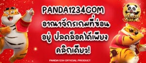 PANDA1234COM